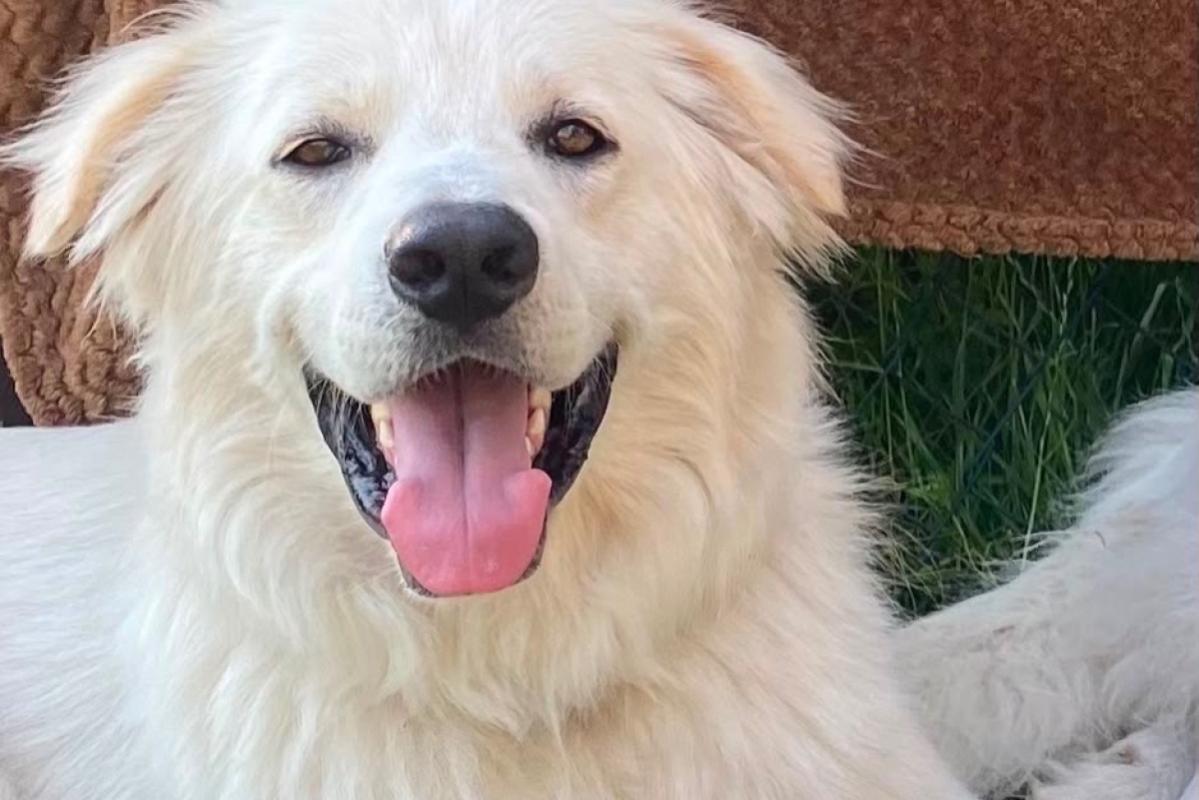 Sep