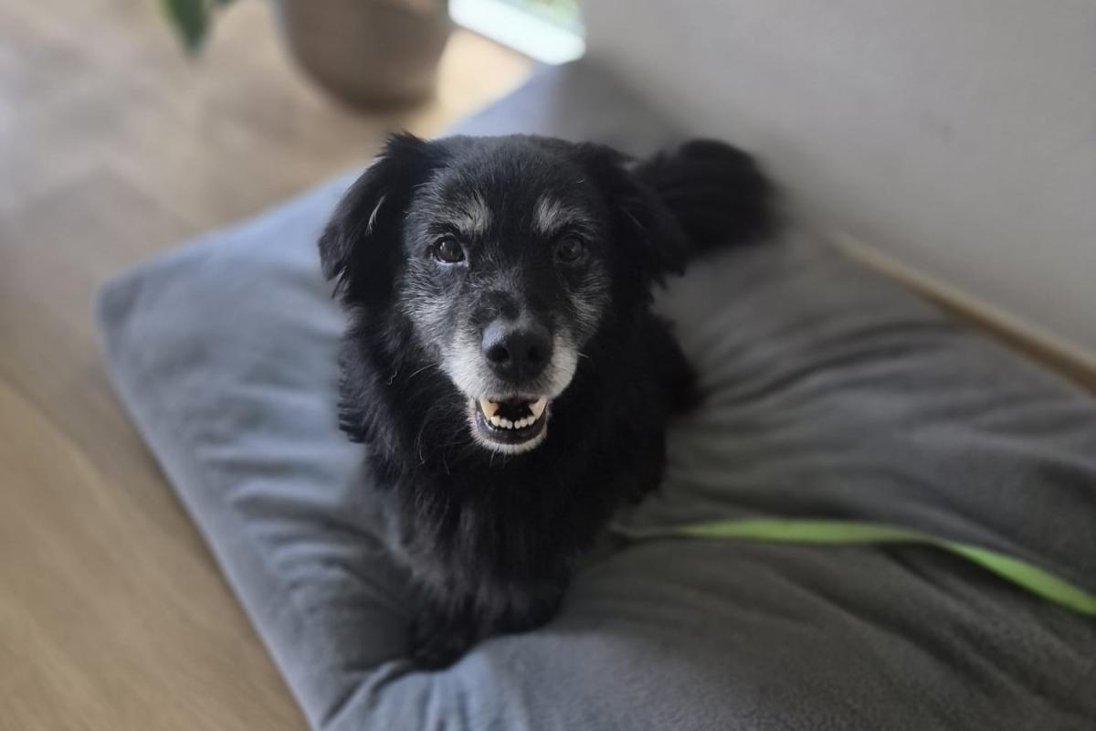 Sam