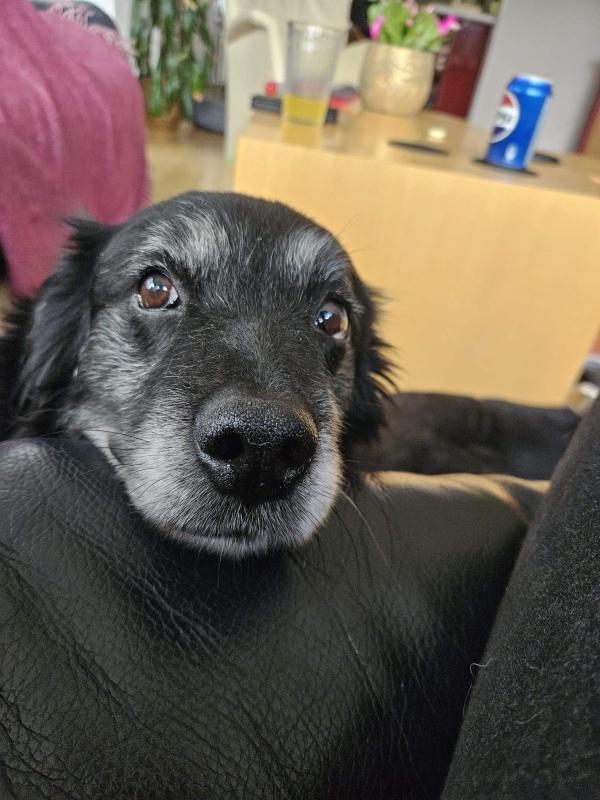 Sam