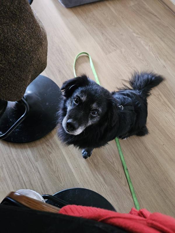 Sam