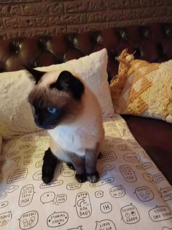 Pascha