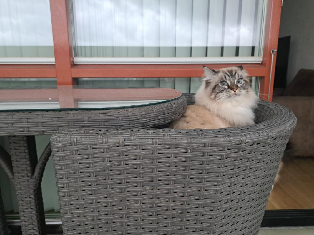 Ricky