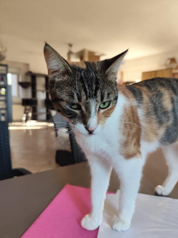 Gina