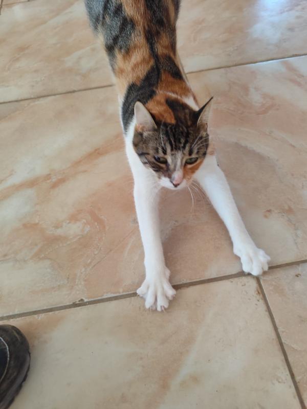 Gina