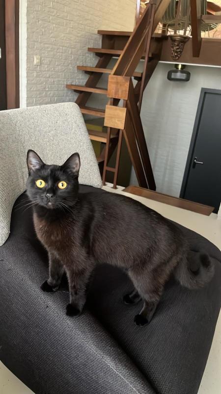 Olga