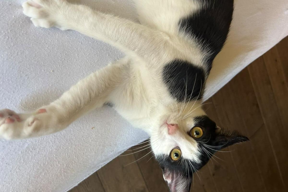 Marley