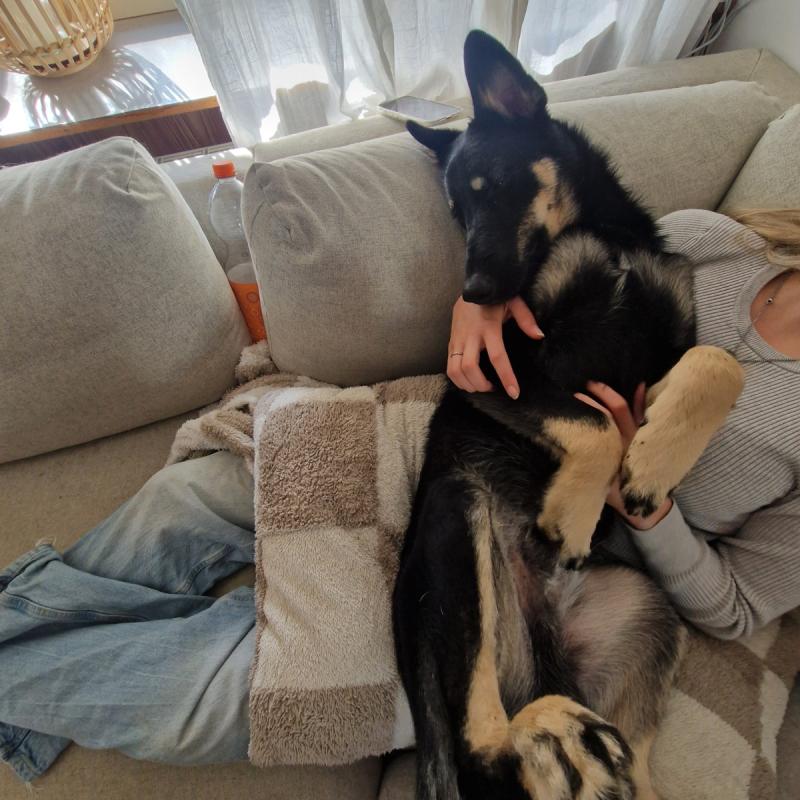 Max