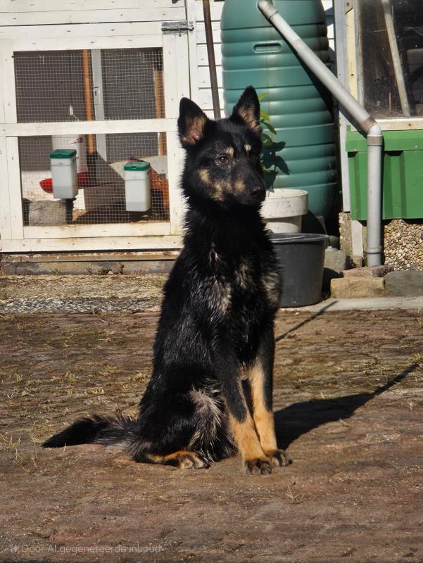 Max
