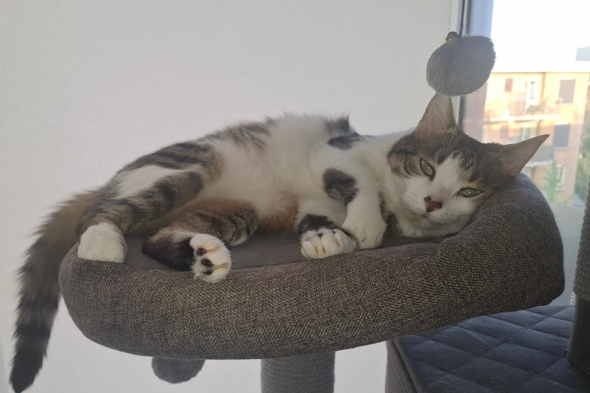 Luna