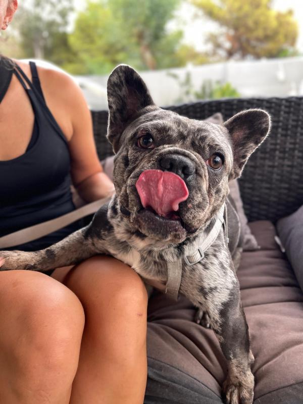 Gordo