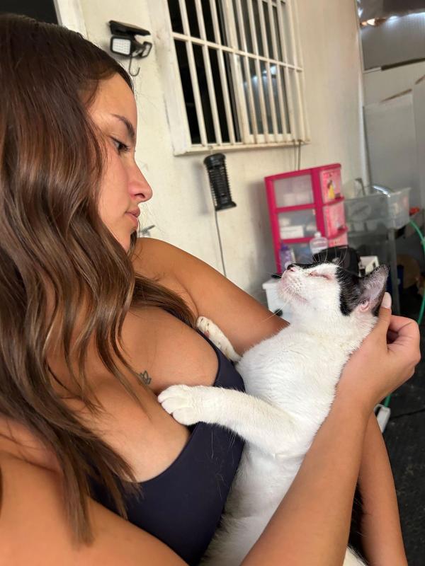 Amigo