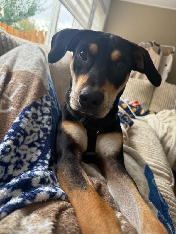Melo
