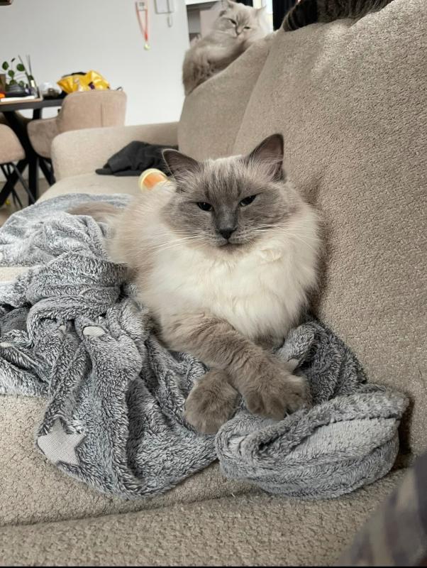 Yuki