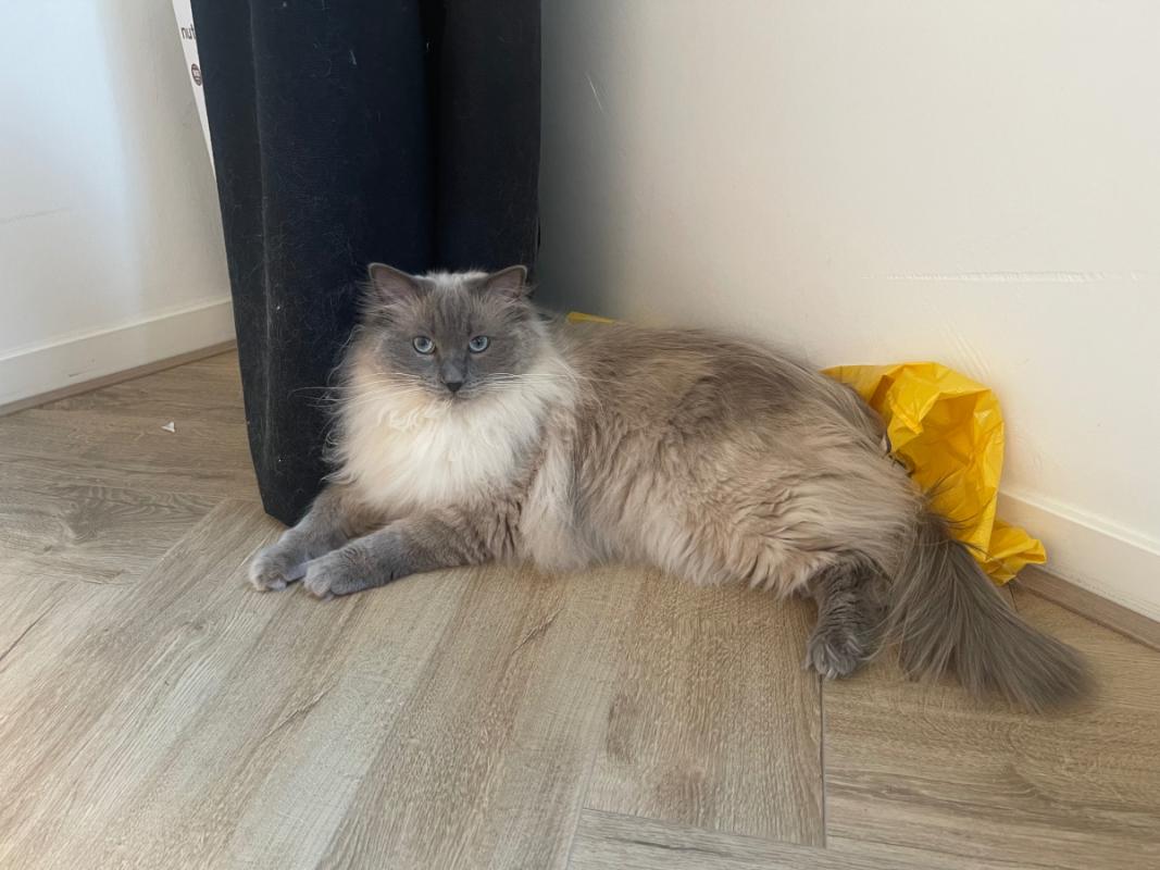 Yuki