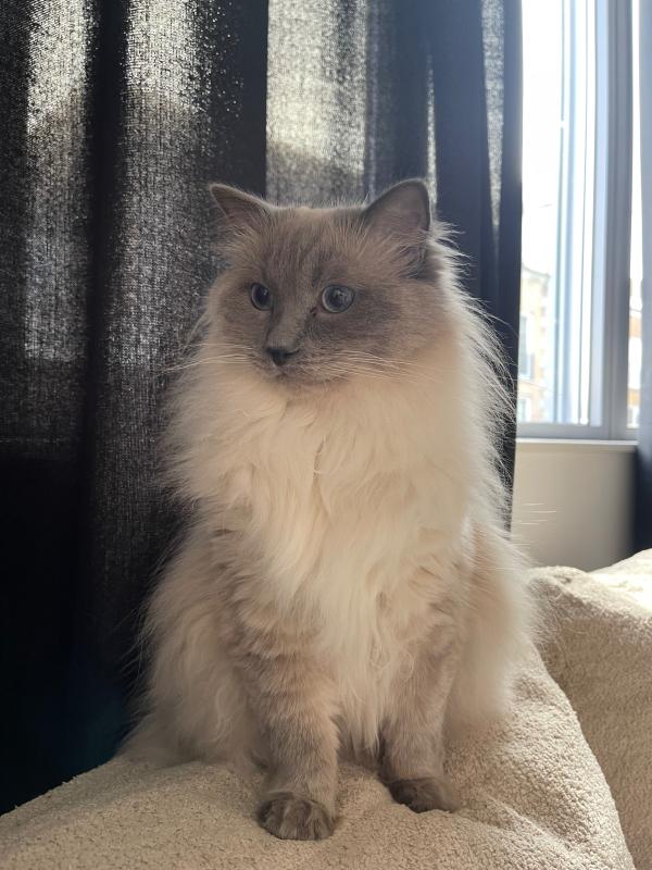 Yuki