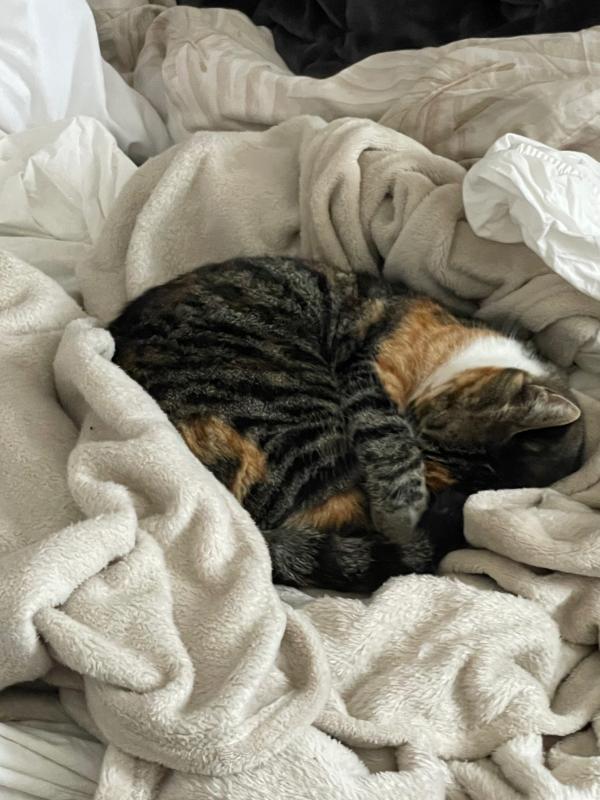 Kiki