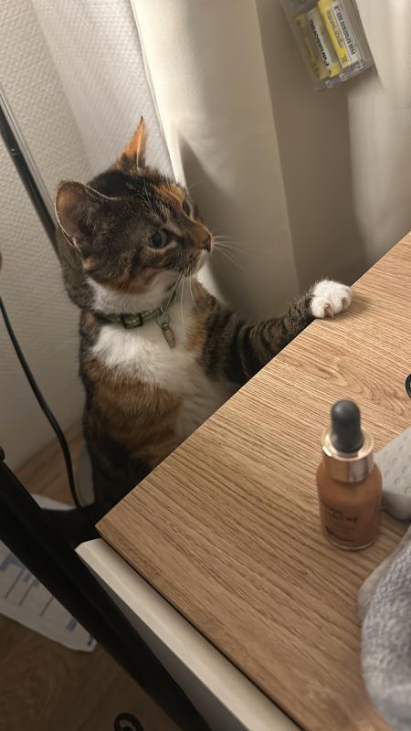 Kiki
