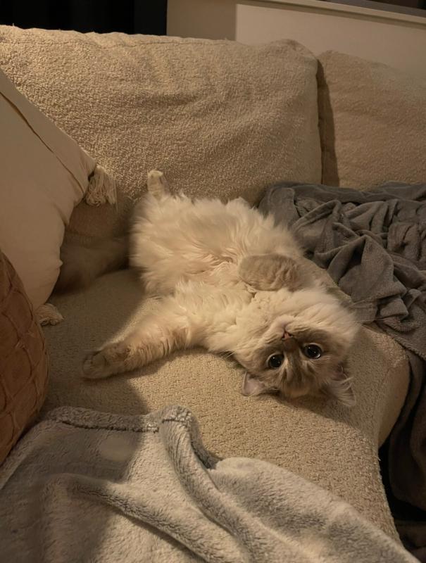 Zoë