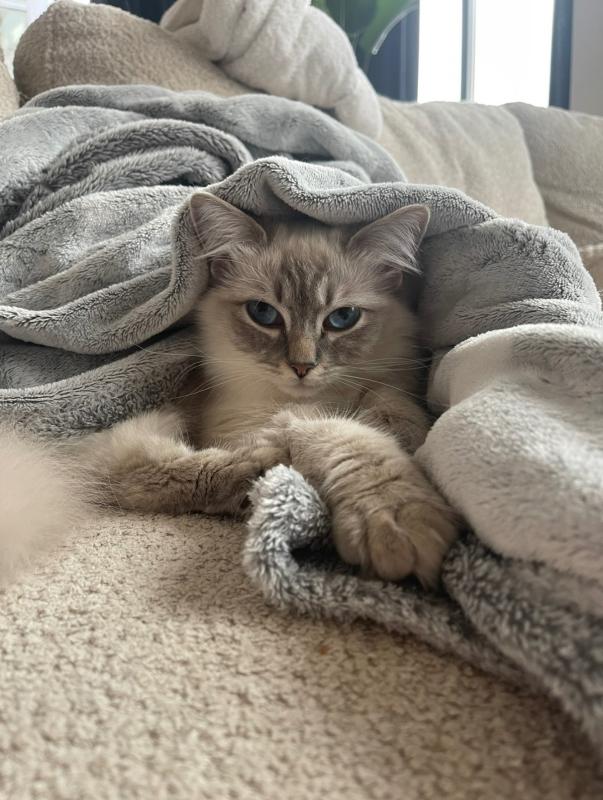 Zoë