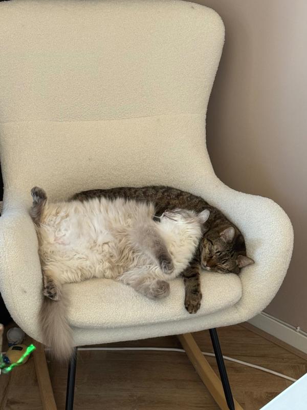Zoë
