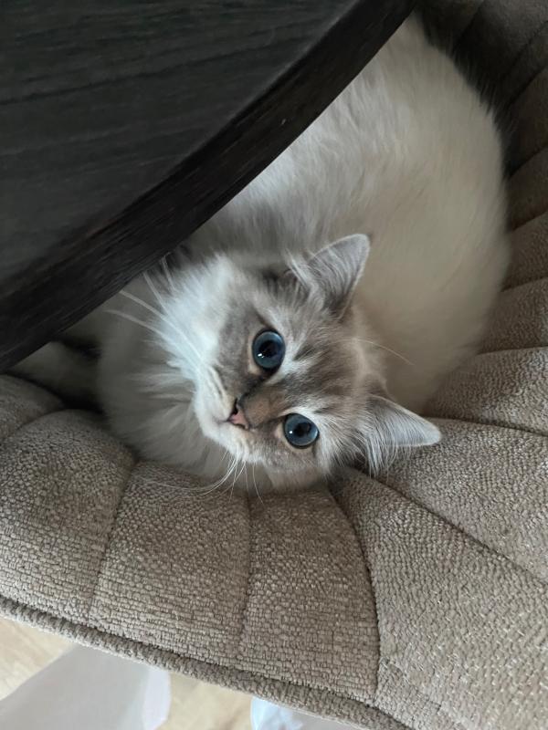 Zoë