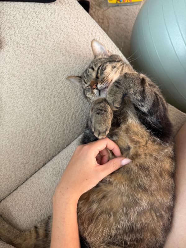 Kiwi