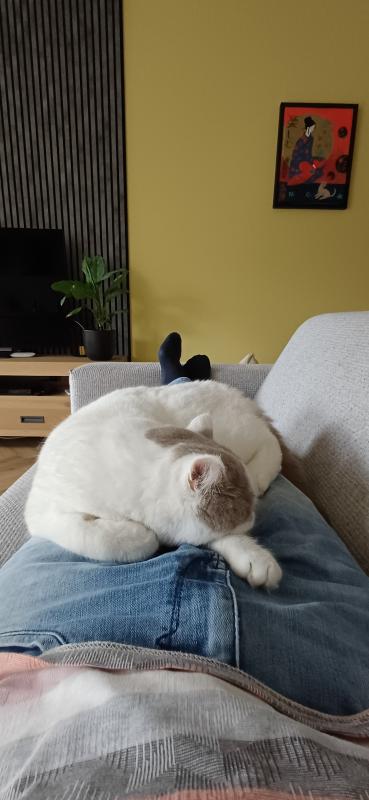 Max