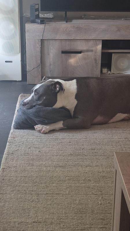 Fiona