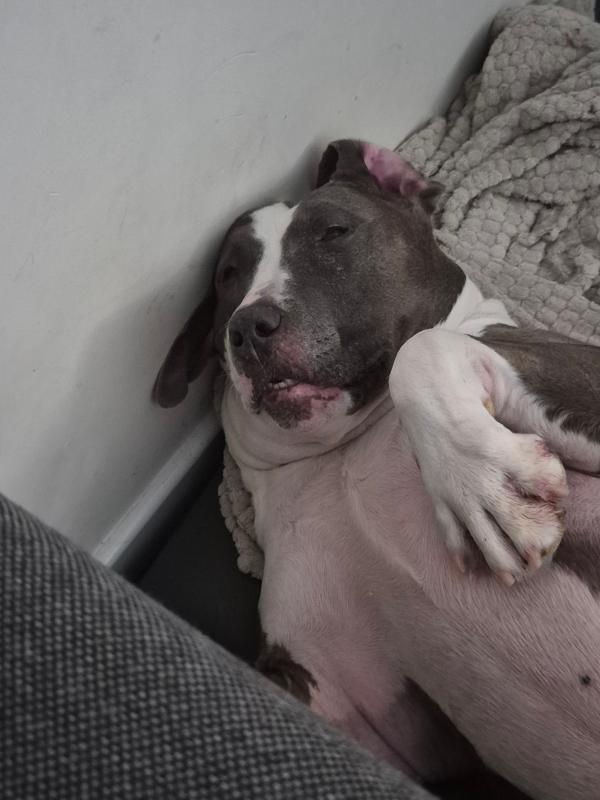 Fiona