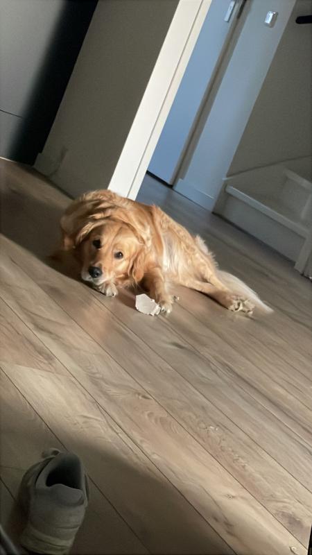 Nayla