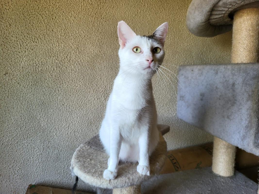 Lupita