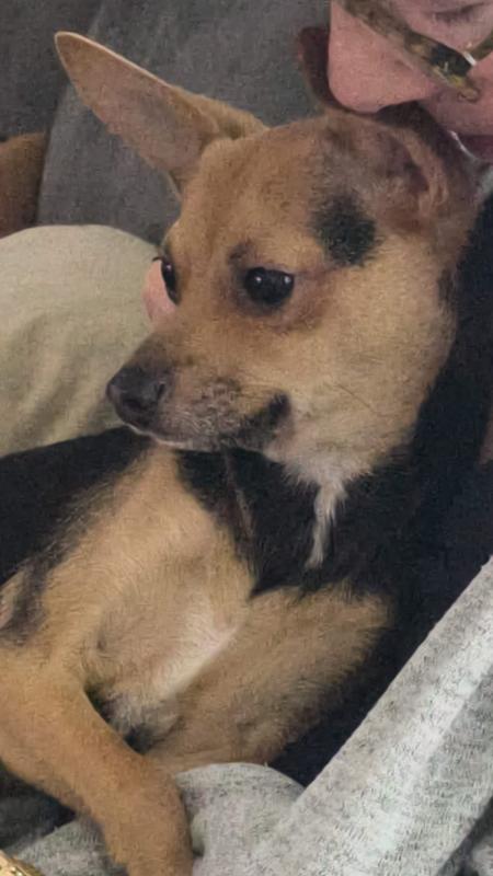 Max