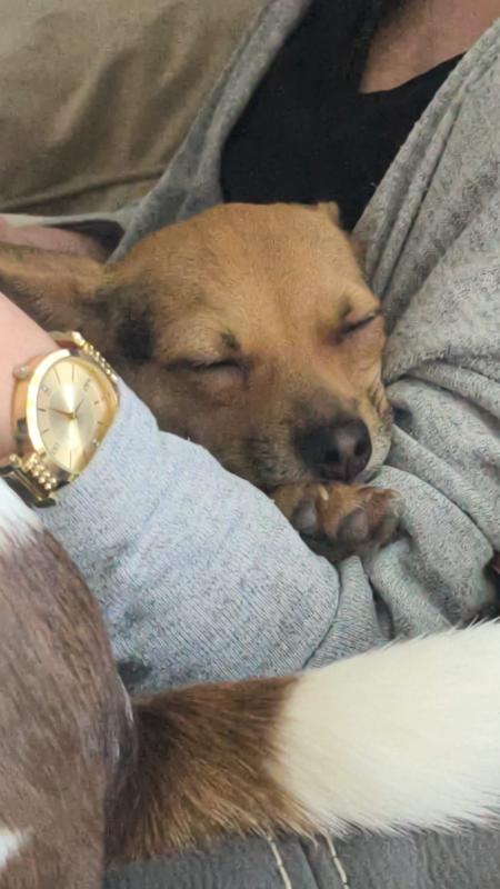 Max