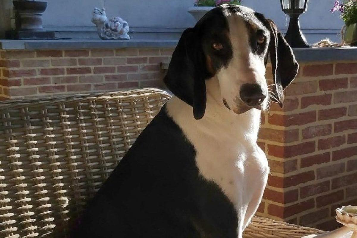 Tucker