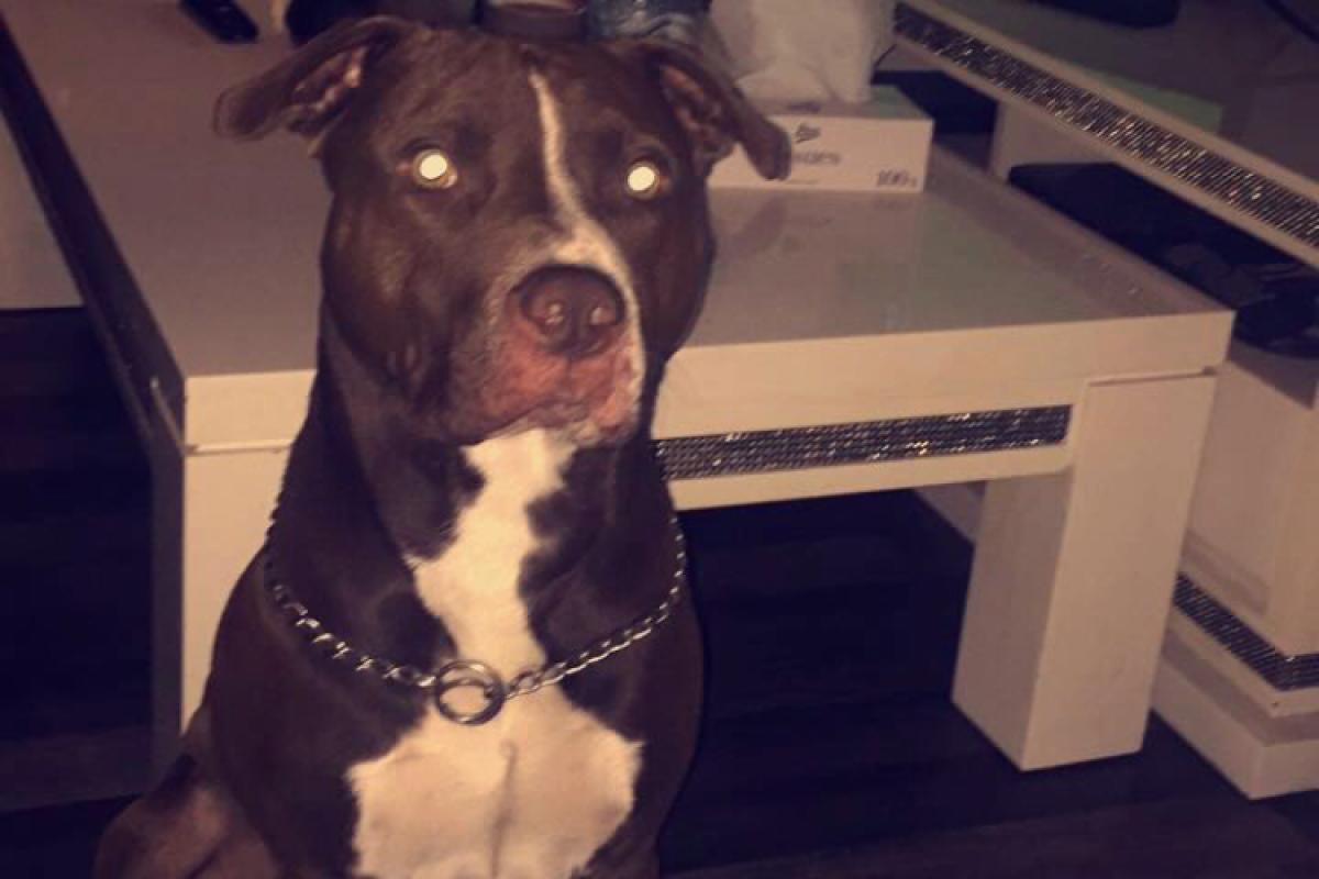 Tyson