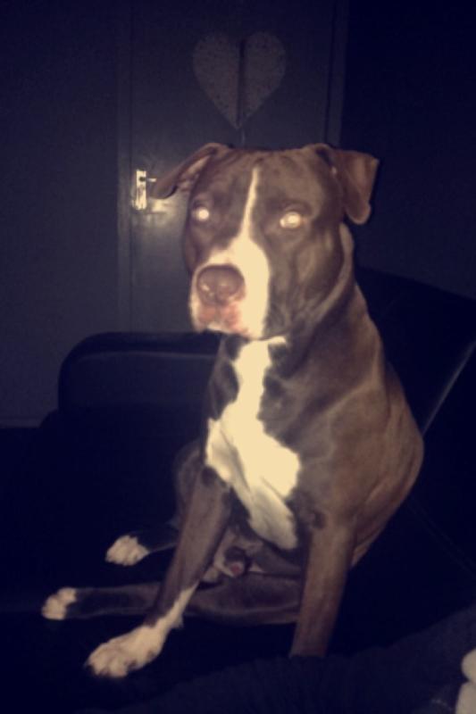 Tyson