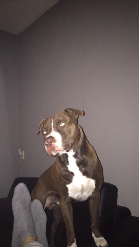 Tyson