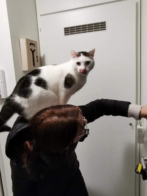 Simba