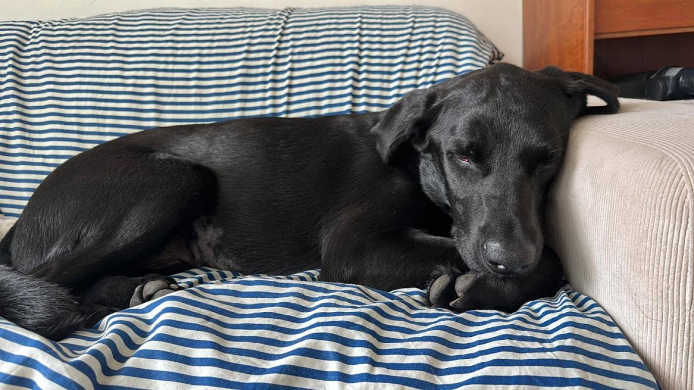 Athos