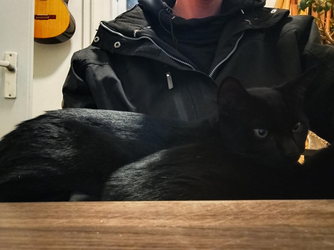 Mo