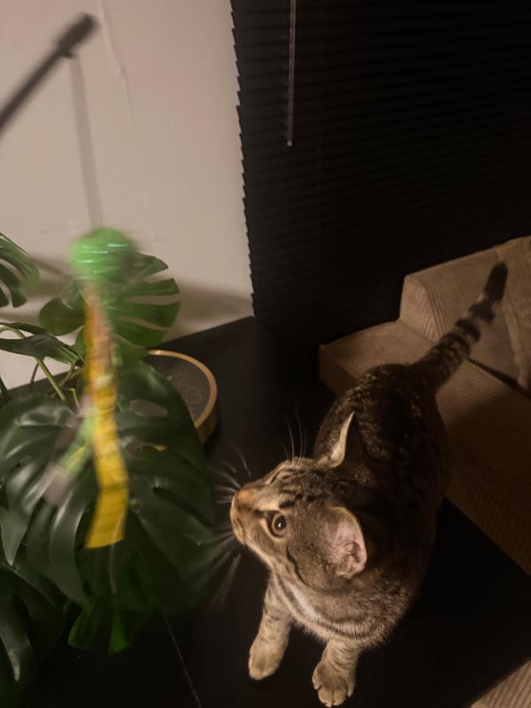 Charlie