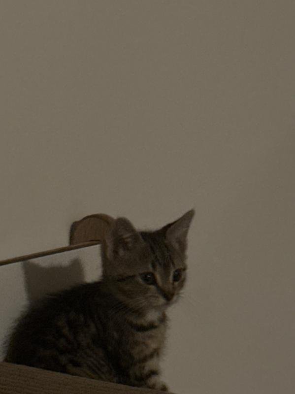 Charlie