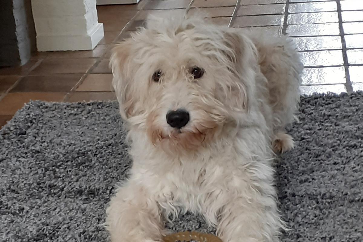 Milo