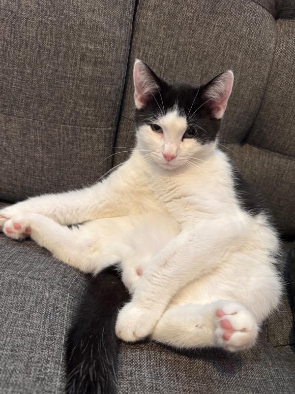 Leo