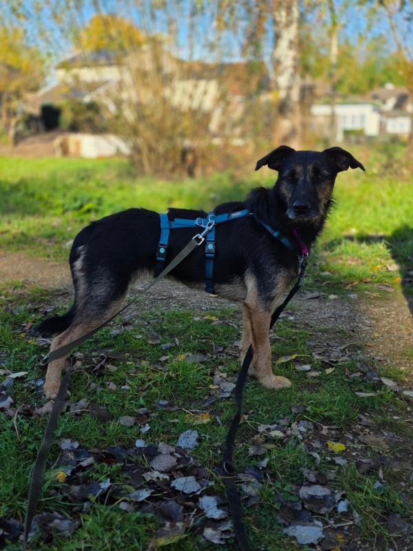 Zoe