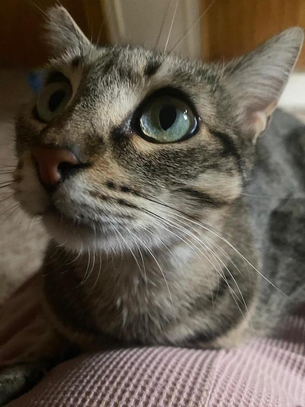 Lucinda
