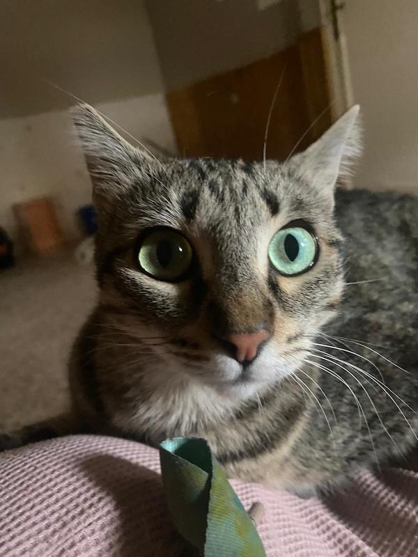 Lucinda