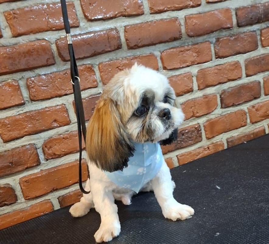Milo
