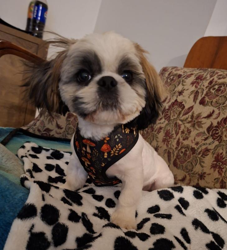 Milo