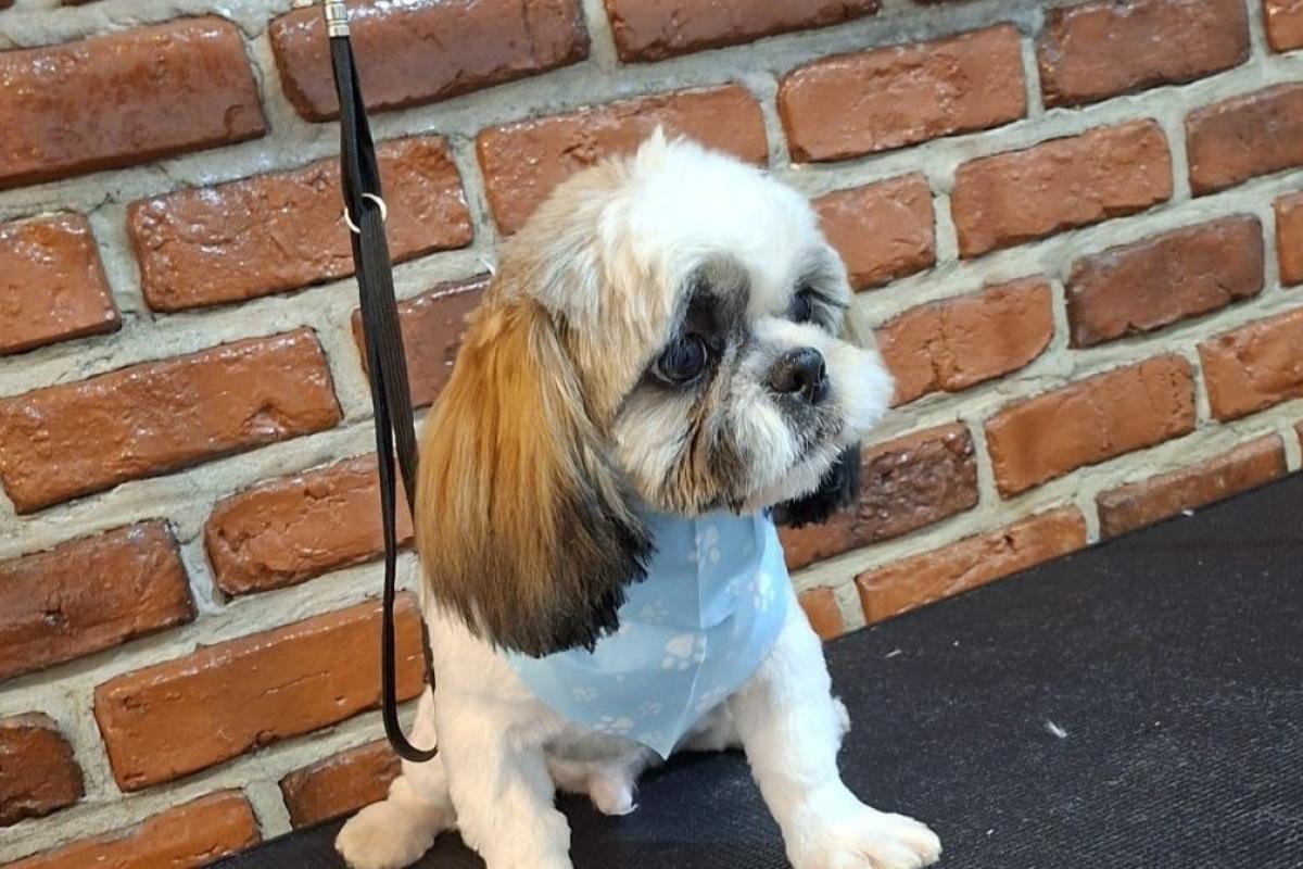 Milo